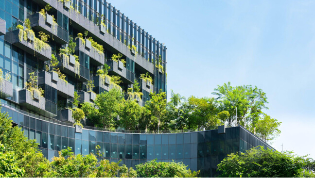 Tasarım felsefesi üzerine